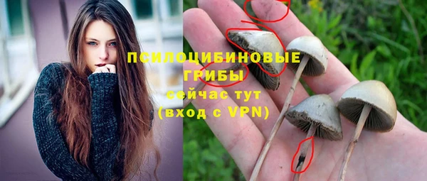 соль ск Абдулино