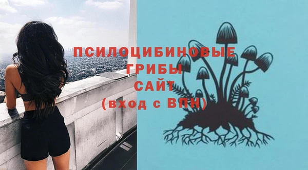 спайс Липки