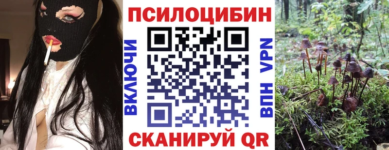 mega онион  Астрахань  Галлюциногенные грибы мицелий  магазин  наркотиков 